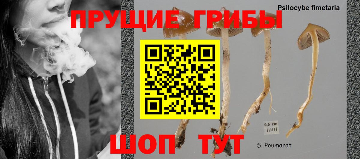 Псилоцибиновые грибы мухоморы  Псилоцибиновые грибы MAGIC MUSHROOMS  Городец  Вход с VPN 